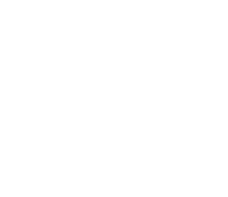 WebDep Emblem