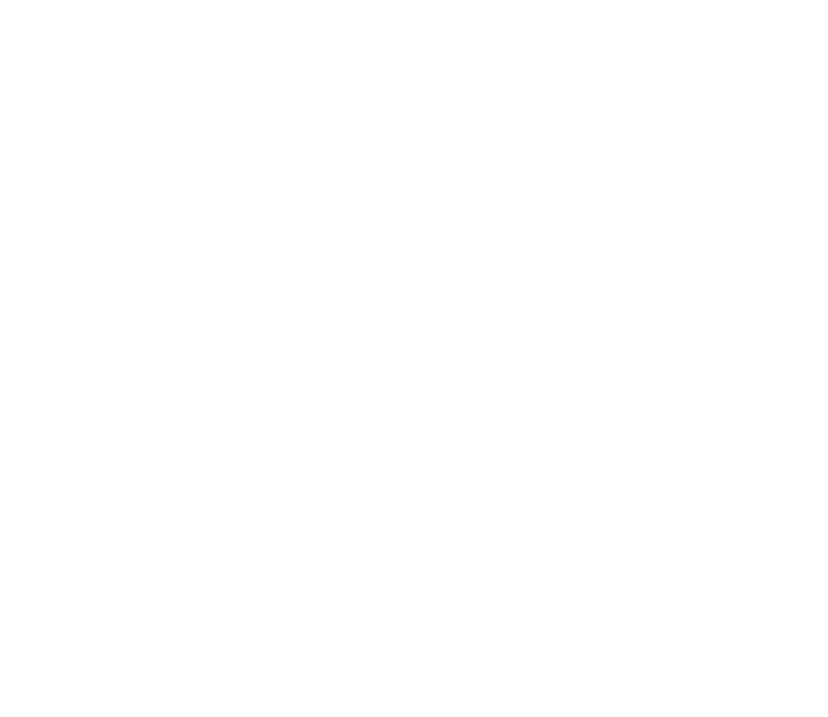 WebDep Agency